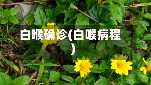 白喉确诊(白喉病程)-第2张图片