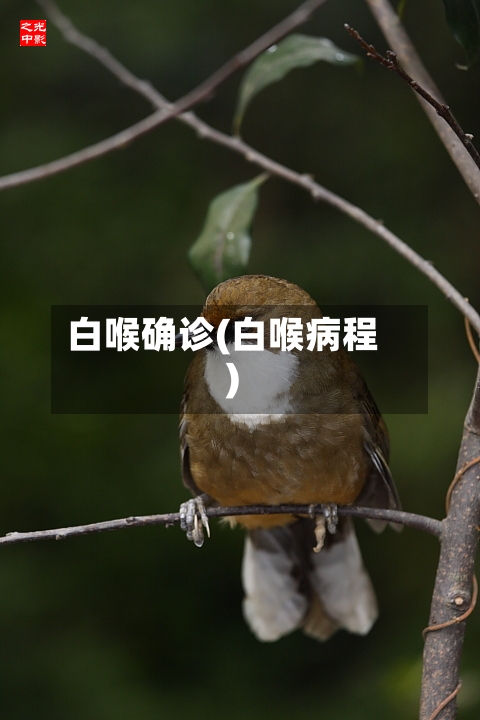 白喉确诊(白喉病程)