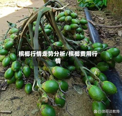 槟榔行情走势分析/槟榔费用行情-第2张图片