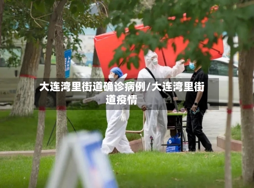 大连湾里街道确诊病例/大连湾里街道疫情-第2张图片