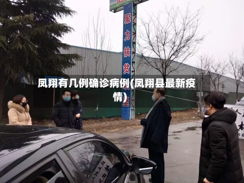 凤翔有几例确诊病例(凤翔县最新疫情)-第2张图片