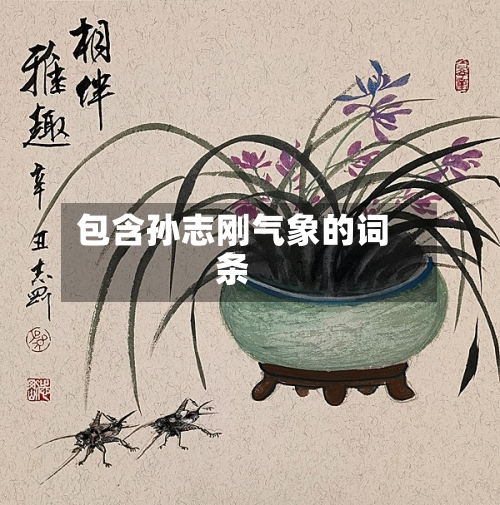 包含孙志刚气象的词条