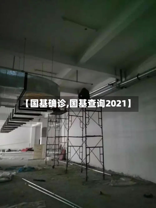 【国基确诊,国基查询2021】-第2张图片