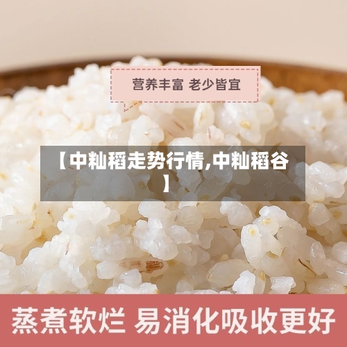 【中籼稻走势行情,中籼稻谷】