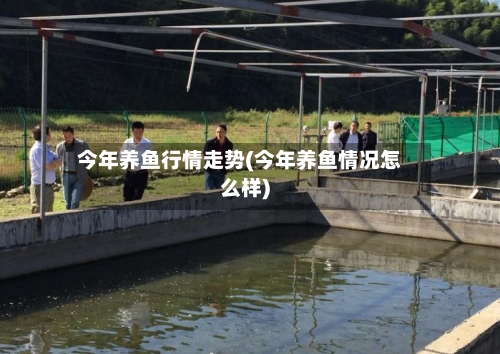今年养鱼行情走势(今年养鱼情况怎么样)-第3张图片