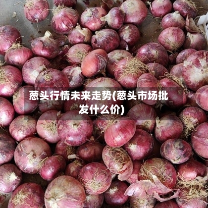 葱头行情未来走势(葱头市场批发什么价)