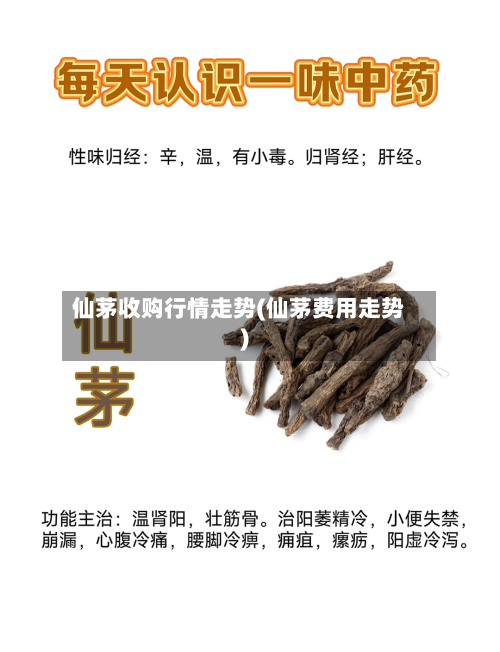 仙茅收购行情走势(仙茅费用走势)