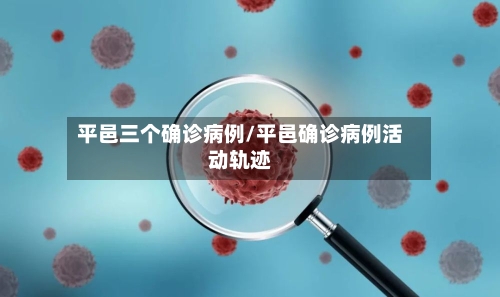 平邑三个确诊病例/平邑确诊病例活动轨迹
