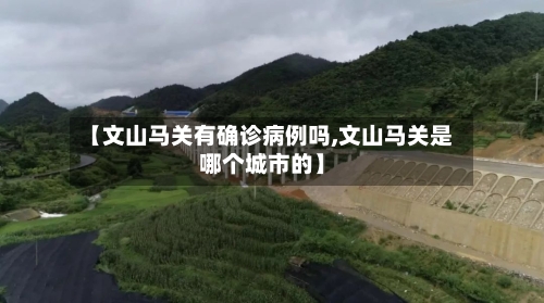 【文山马关有确诊病例吗,文山马关是哪个城市的】