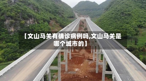 【文山马关有确诊病例吗,文山马关是哪个城市的】-第2张图片