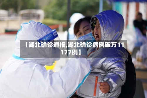【湖北确诊通报,湖北确诊病例破万11177例】-第2张图片
