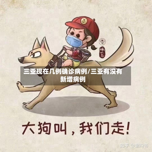 三亚现在几例确诊病例/三亚有没有新增病例-第2张图片