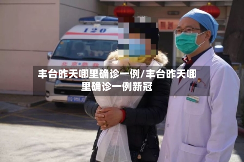 丰台昨天哪里确诊一例/丰台昨天哪里确诊一例新冠-第2张图片