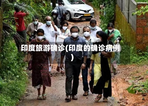 印度旅游确诊(印度的确诊病例)