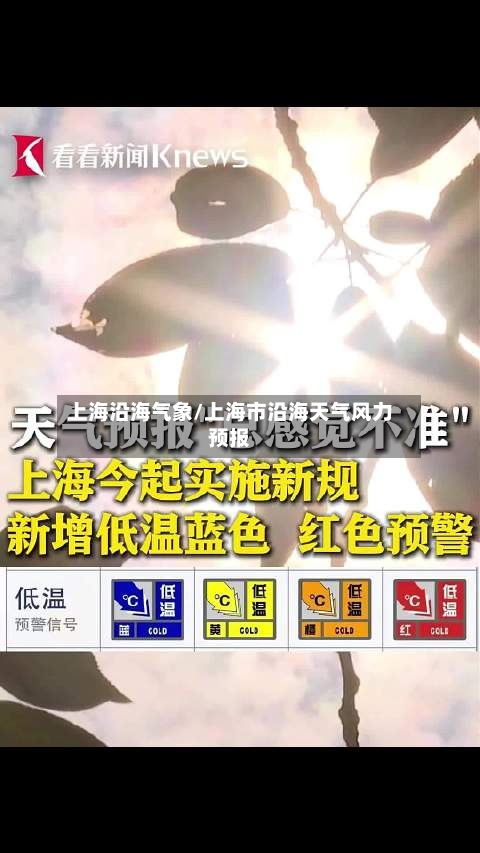 上海沿海气象/上海市沿海天气风力预报-第2张图片