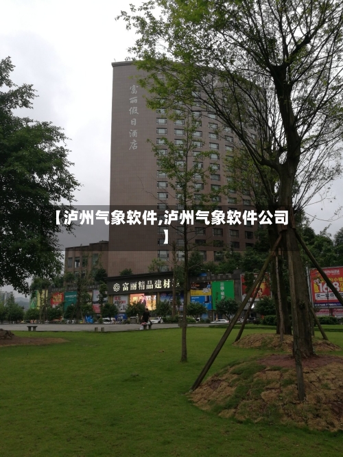 【泸州气象软件,泸州气象软件公司】-第2张图片