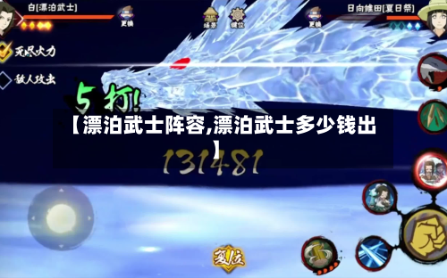 【漂泊武士阵容,漂泊武士多少钱出】