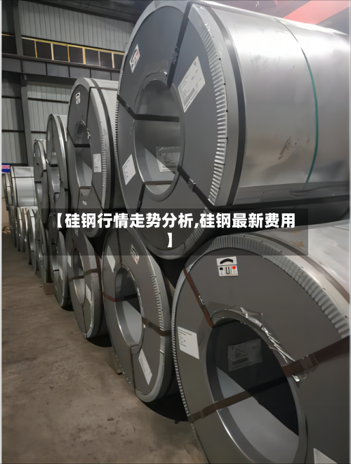 【硅钢行情走势分析,硅钢最新费用】-第2张图片