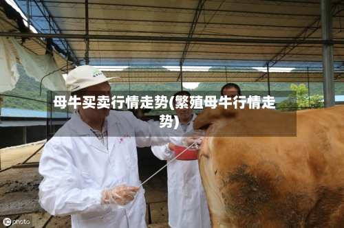 母牛买卖行情走势(繁殖母牛行情走势)-第2张图片