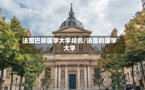 法国巴黎医学大学排名/法国的医学大学-第2张图片