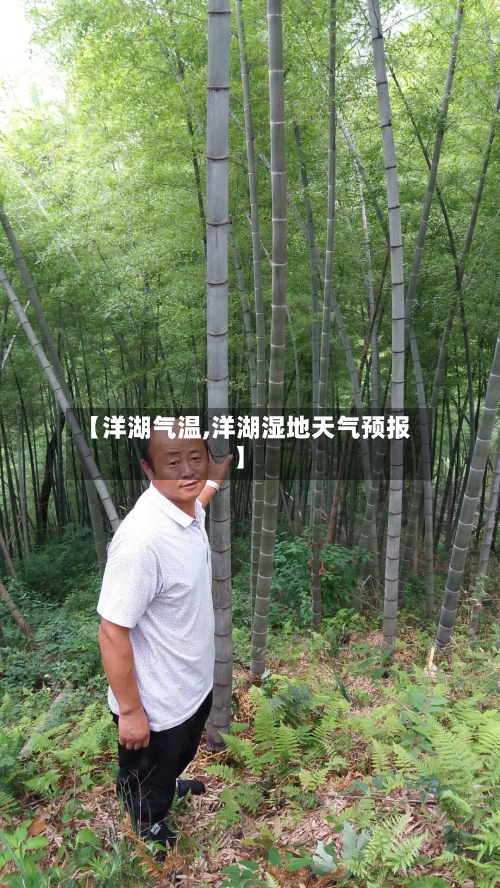 【洋湖气温,洋湖湿地天气预报】-第2张图片